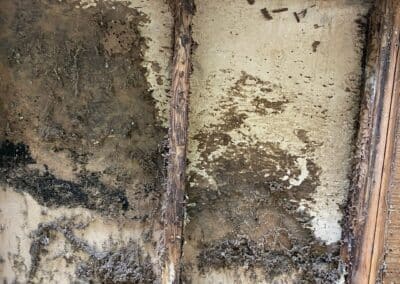 Water staining and decayed material at a wall base at Phoenix Court Apartments.