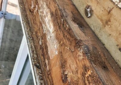 Rotted framing and trim exposed at a window opening at Phoenix Court Apartments.