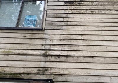 Moss and weathering on failing lap siding at Westboro Condos.